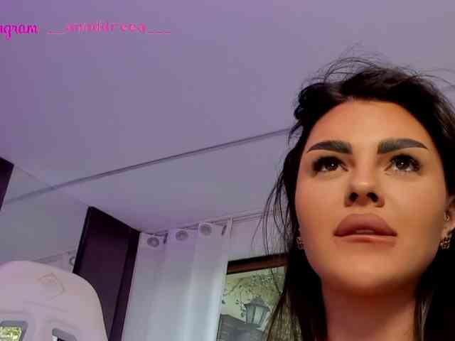 PerfectT33n webcam