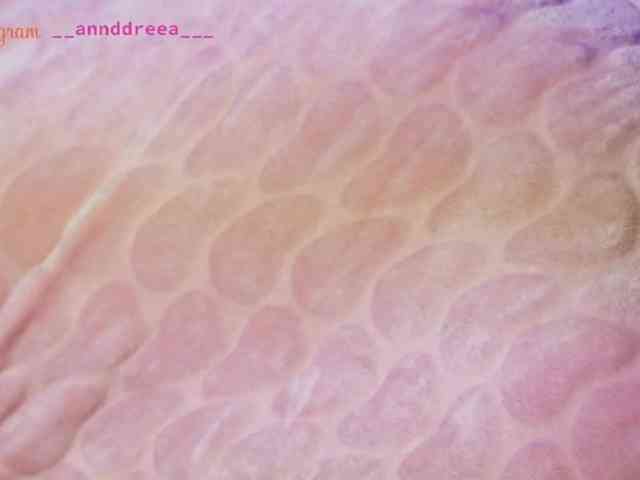 PerfectT33n webcam