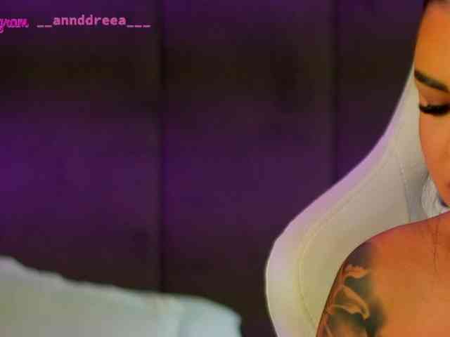 PerfectT33n webcam