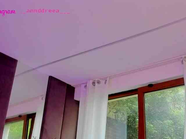 PerfectT33n webcam