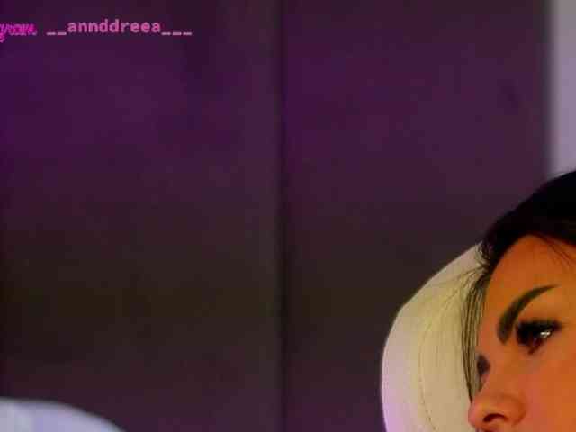 PerfectT33n webcam