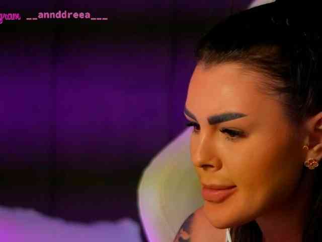 PerfectT33n webcam