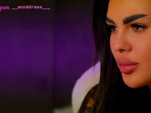 PerfectT33n webcam