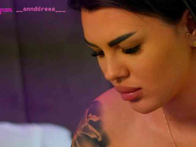 PerfectT33n webcam
