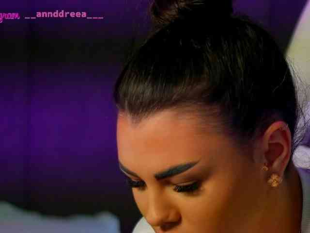 PerfectT33n webcam
