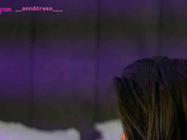 PerfectT33n webcam