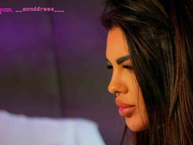 PerfectT33n webcam