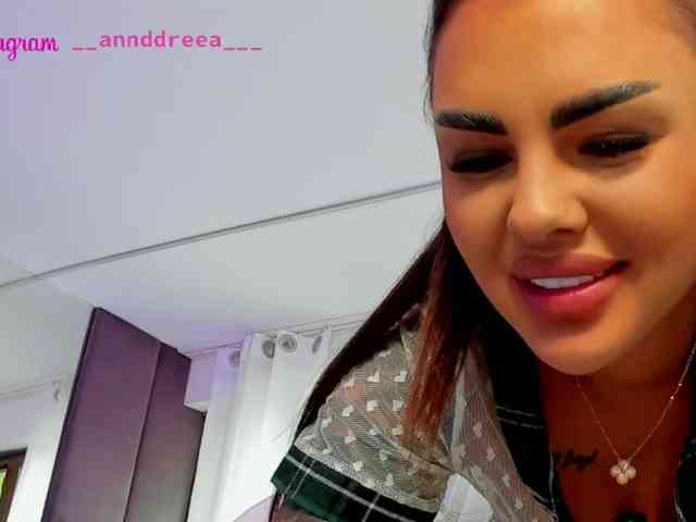 PerfectT33n webcam