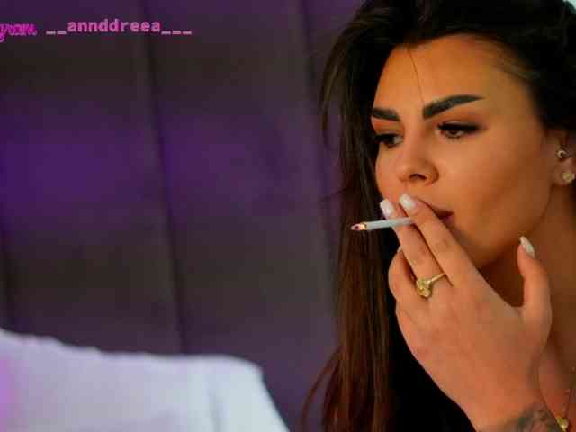 PerfectT33n webcam