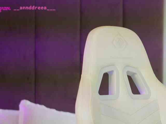 PerfectT33n webcam