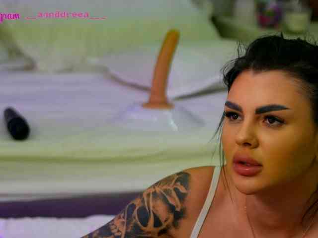 PerfectT33n webcam