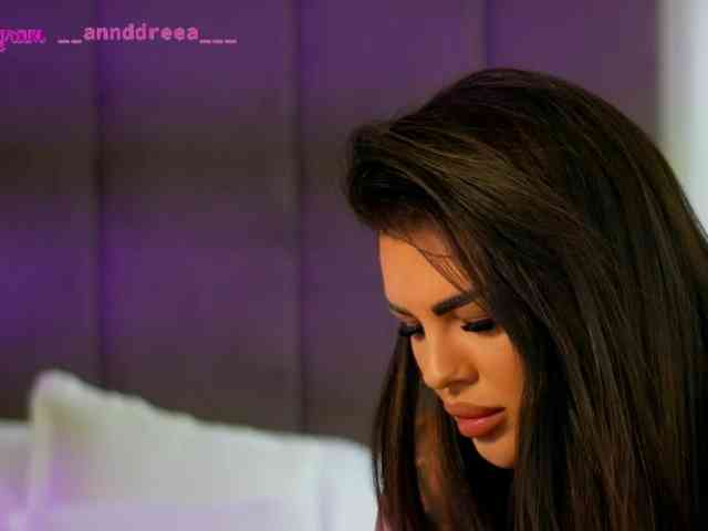 PerfectT33n webcam
