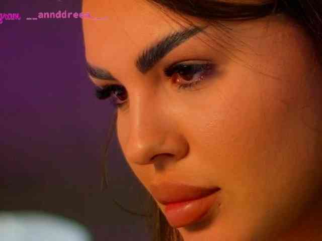 PerfectT33n webcam