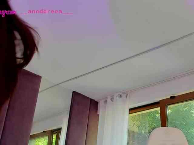 PerfectT33n webcam