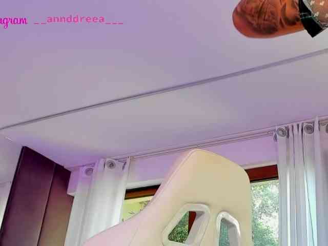 PerfectT33n webcam