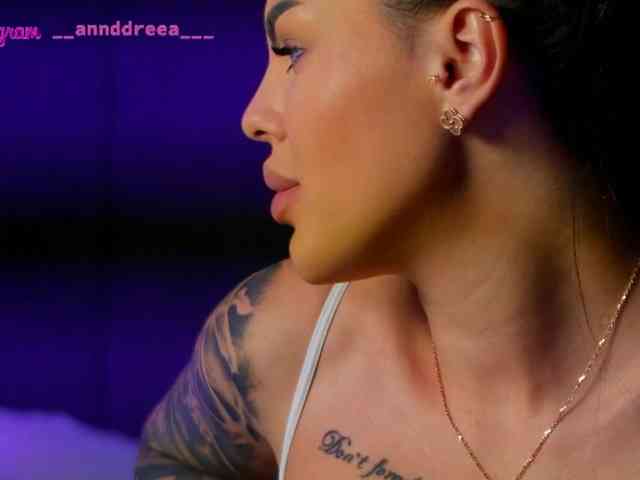 PerfectT33n webcam