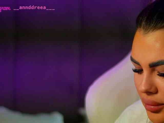 PerfectT33n webcam