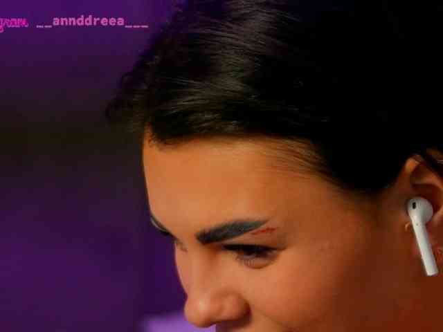PerfectT33n webcam