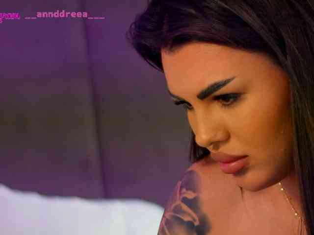 PerfectT33n webcam