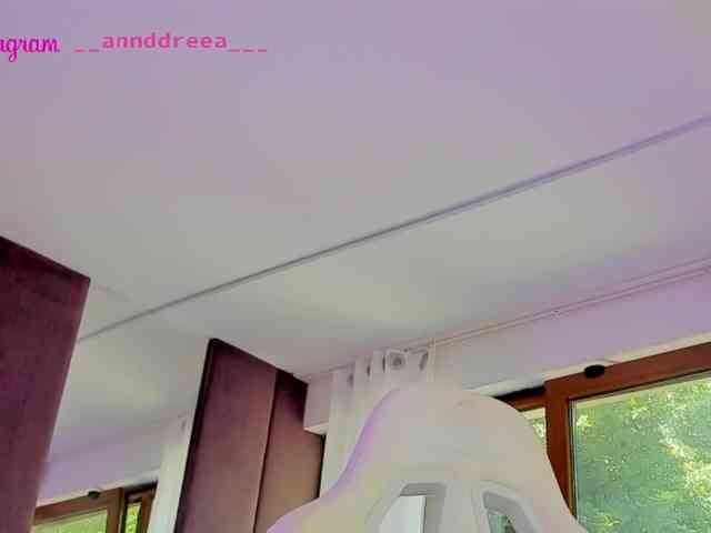 PerfectT33n webcam