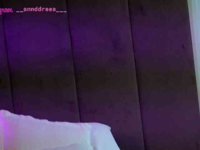 PerfectT33n webcam