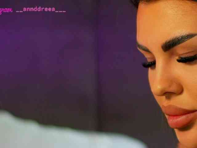 PerfectT33n webcam