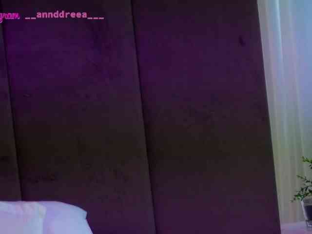 PerfectT33n webcam