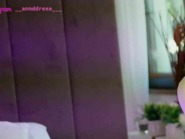 PerfectT33n webcam