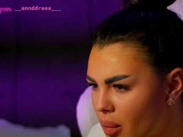 PerfectT33n webcam