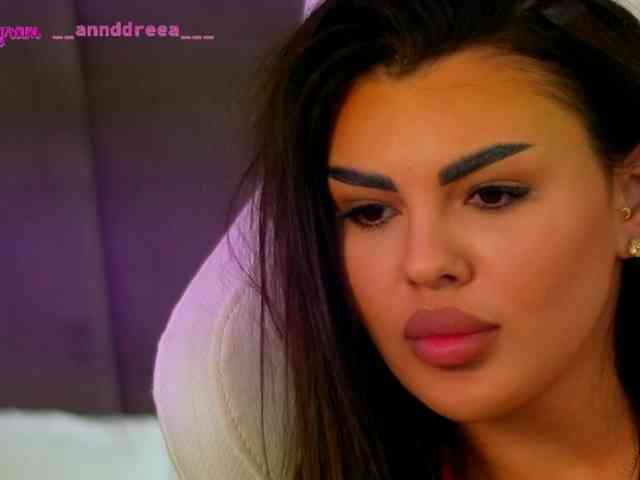 PerfectT33n webcam