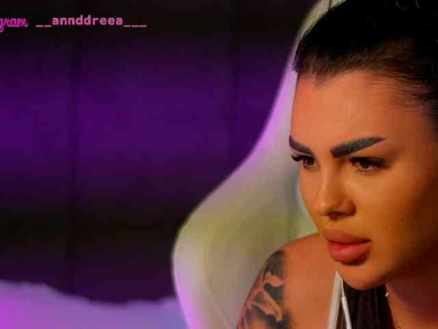 PerfectT33n webcam