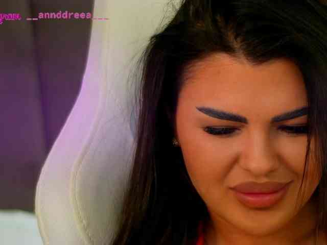 PerfectT33n webcam