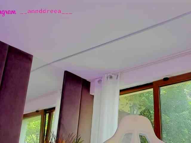 PerfectT33n webcam