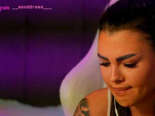 PerfectT33n webcam