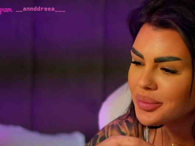 PerfectT33n webcam