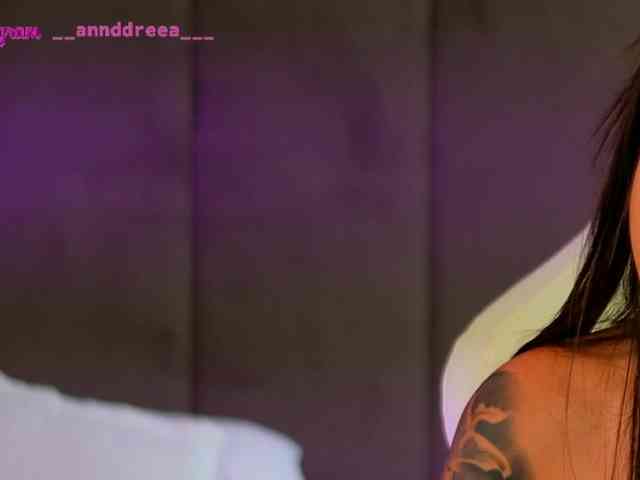 PerfectT33n webcam