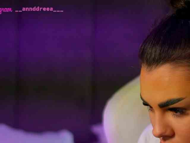 PerfectT33n webcam