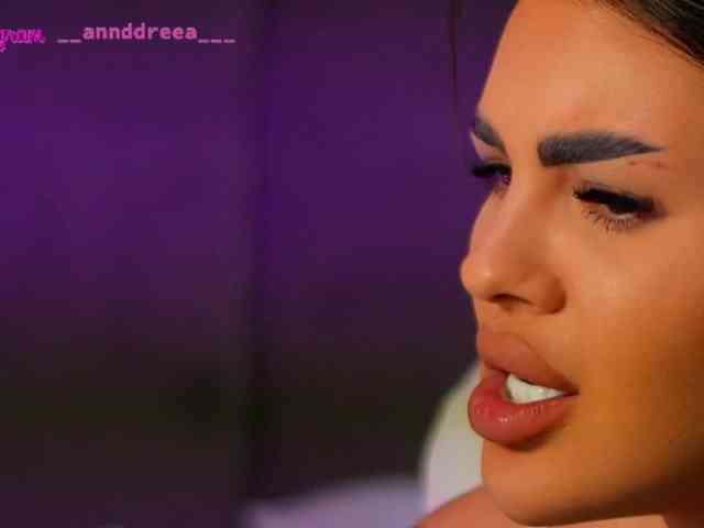PerfectT33n webcam
