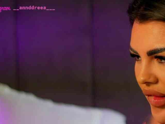 PerfectT33n webcam