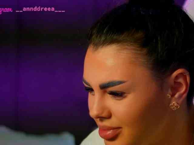 PerfectT33n webcam