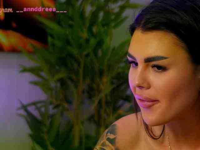 PerfectT33n webcam