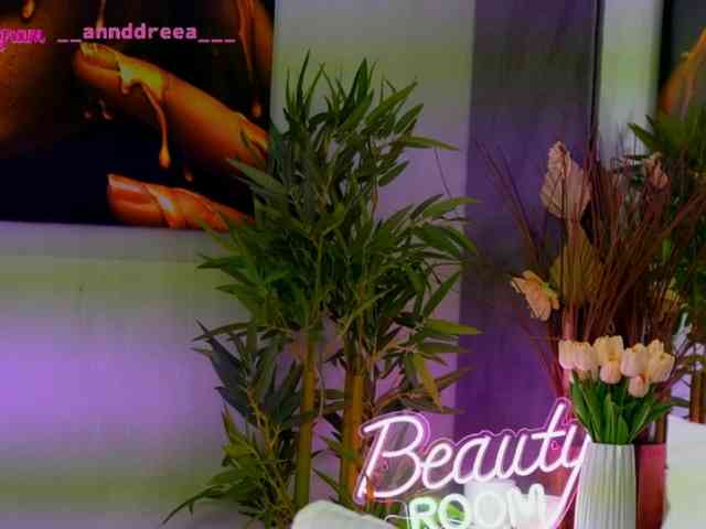 PerfectT33n webcam