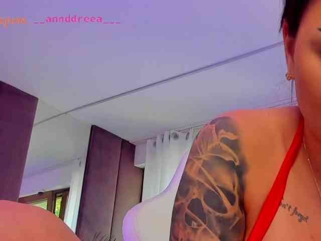 PerfectT33n webcam