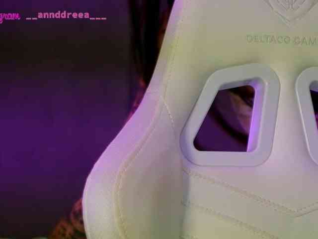 PerfectT33n webcam