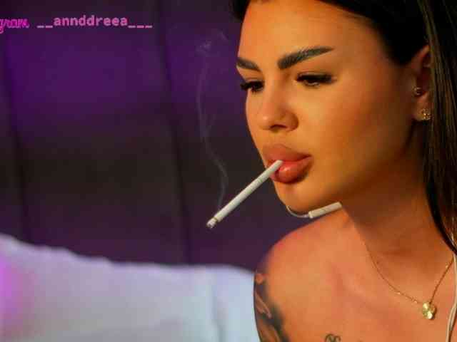 PerfectT33n webcam