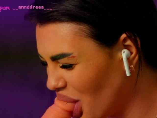 PerfectT33n webcam