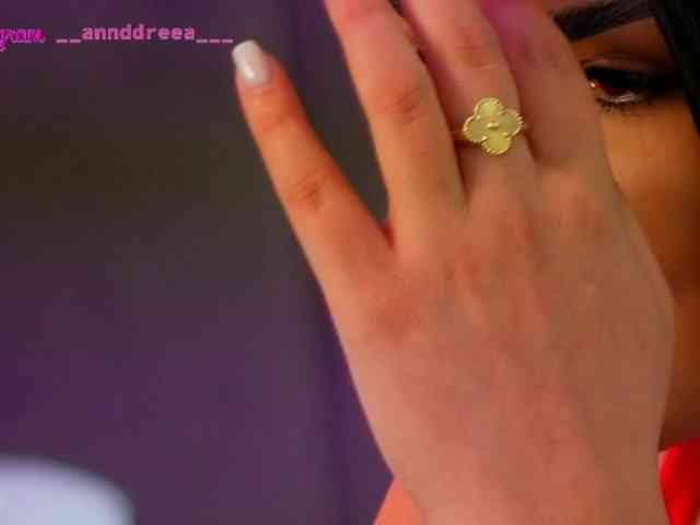 PerfectT33n webcam