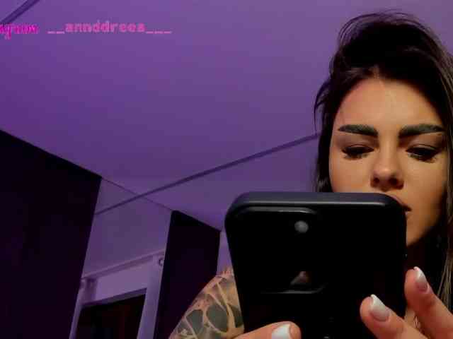 PerfectT33n webcam