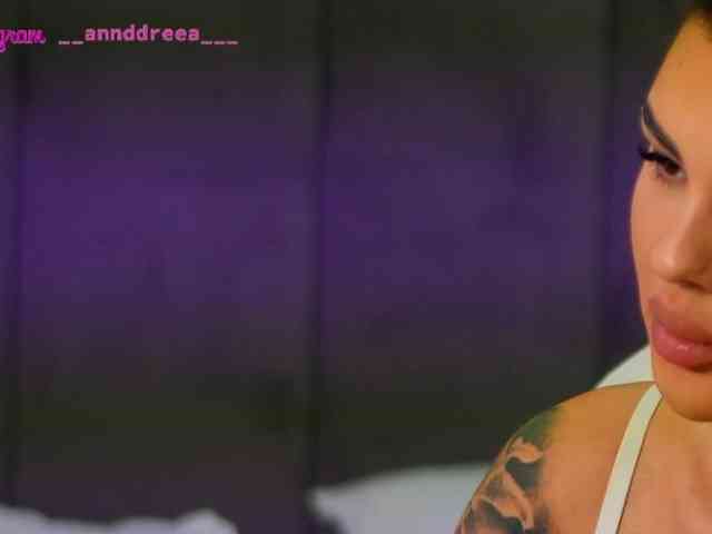 PerfectT33n webcam