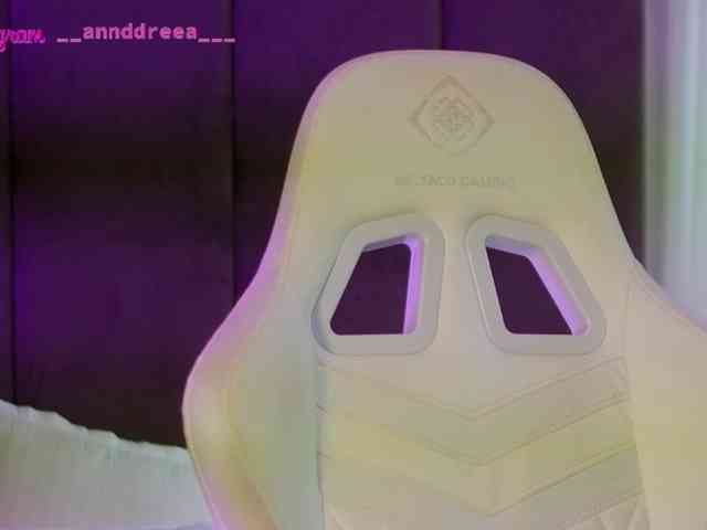 PerfectT33n webcam